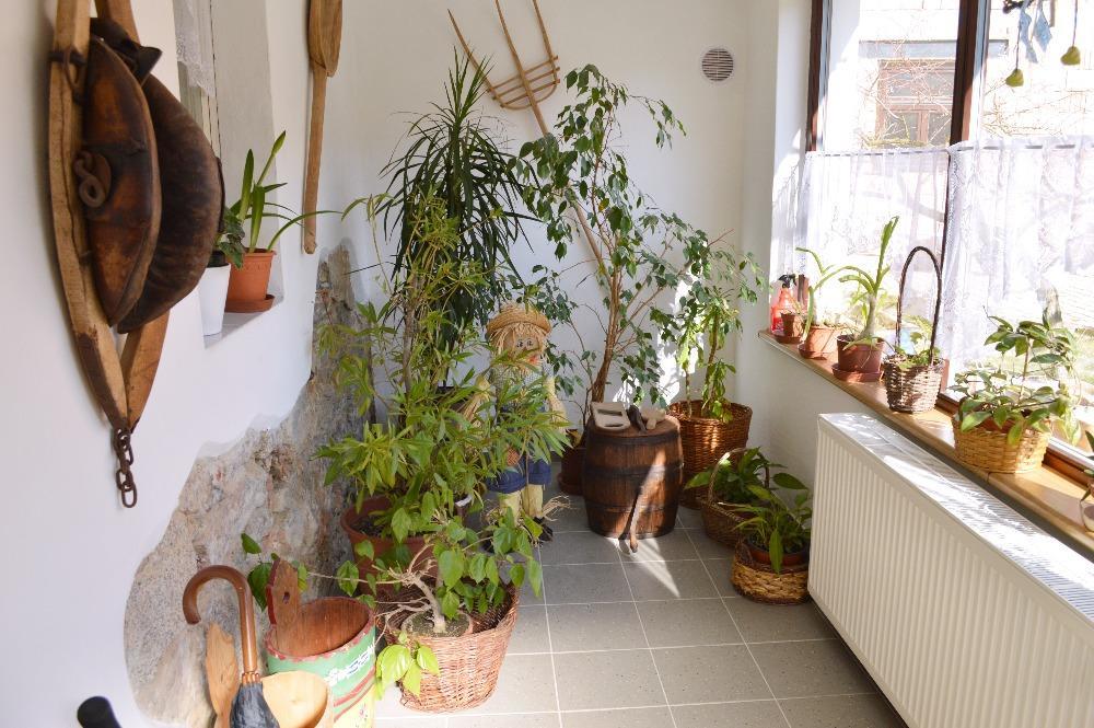 U Slunecne Brany Frantiskovy Lazne Exterior photo